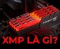XMP là gì? Cách kiểm tra XMP của RAM